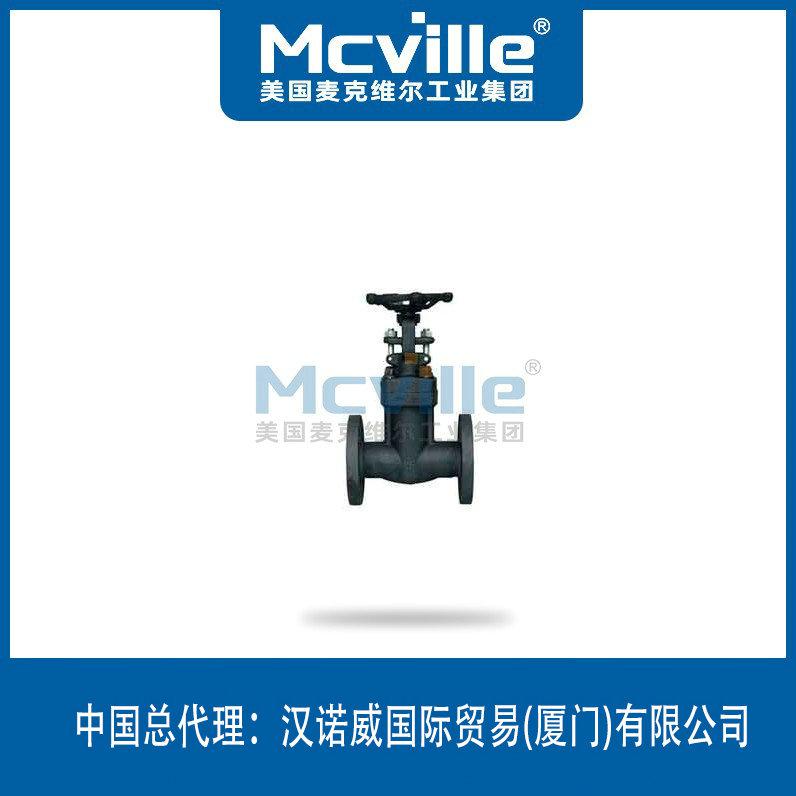 進(jìn)口波紋管鍛鋼閘閥