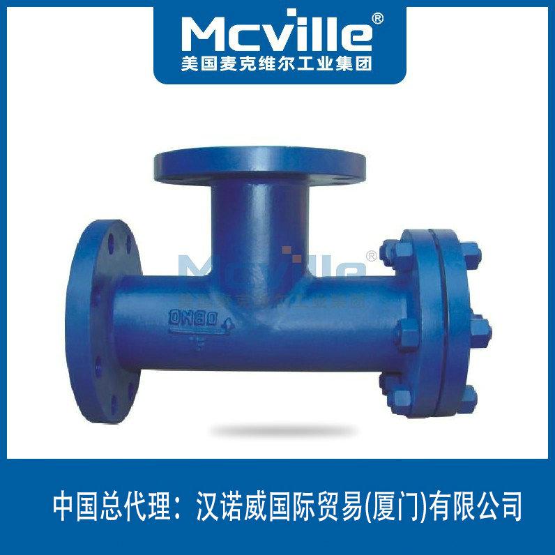 進(jìn)口T型過濾器