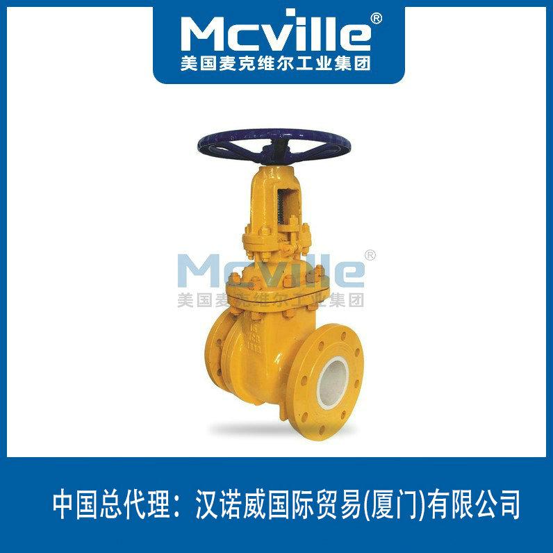 進(jìn)口排渣閘閥