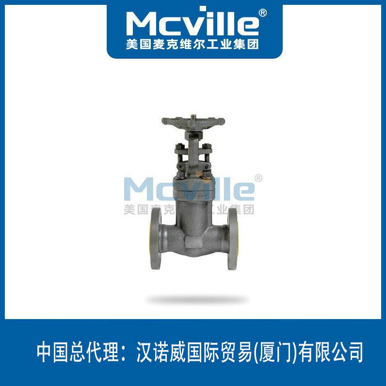 進(jìn)口鍛鋼法蘭閘閥