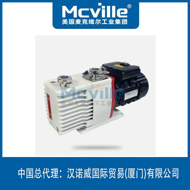 進(jìn)口氣體真空泵