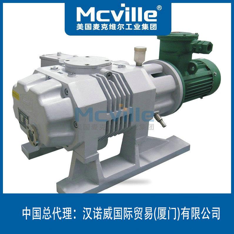 進(jìn)口帶溢流閥羅茨真空泵