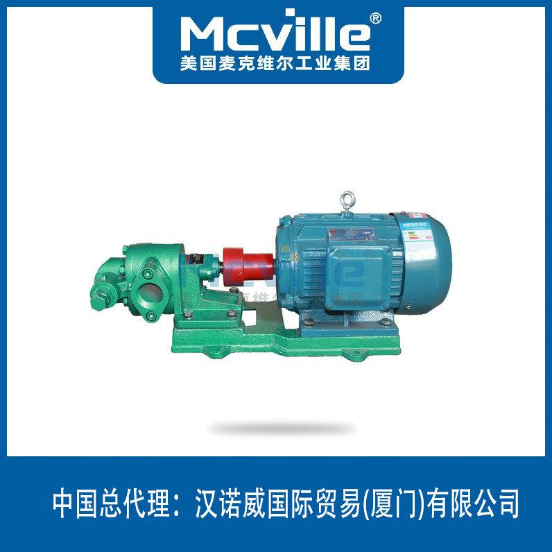 進(jìn)口潤(rùn)滑油輸送泵