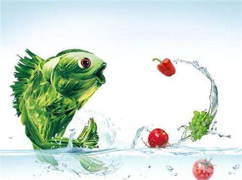 業(yè)界：要加快完善我國冷鏈流通長效機(jī)制