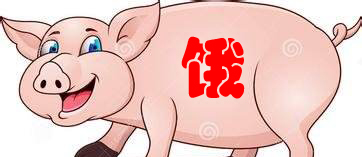 一天三頓改一頓，物流阻飼料缺導(dǎo)致湖北種豬被限食