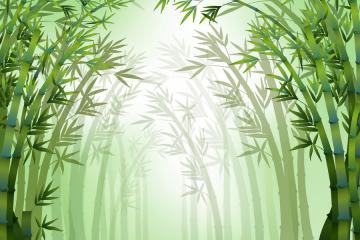 視頻：中國又一黑科技成“竹”在胸