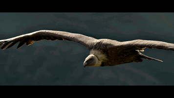 視頻：十大出口總額排名，中國穩(wěn)居榜首！