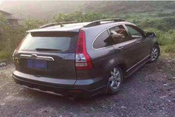 類物流：一輛面包車?yán)铮?4頭豬？！