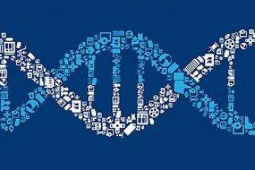 李勇堅(jiān)：發(fā)揮數(shù)字技術(shù)作用，精準(zhǔn)快速推動(dòng)復(fù)工復(fù)產(chǎn)