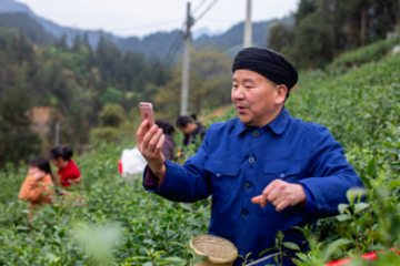 換個(gè)賽道求發(fā)展：去線上，去直播（下篇）
