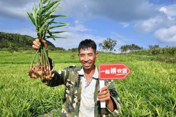 拼多多的農(nóng)村那些事