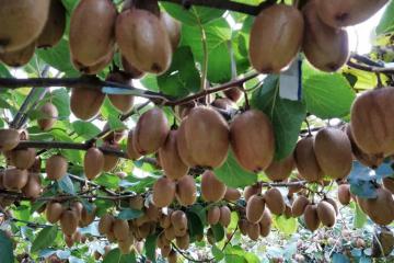 淘寶天貓宣布新目標(biāo)，100個10億級的生意機(jī)會來了