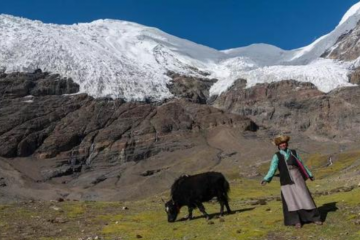在你們貧困潦倒的11月，祝生活愉快！快遞站長東北口音喊話走紅