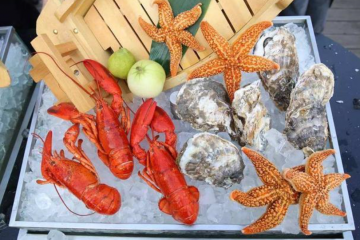 今年春節(jié)會不會跟去年一樣，封路，封村，封城？