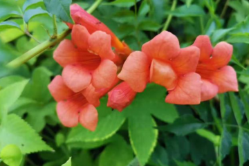 電商物流倉(cāng)儲(chǔ)項(xiàng)目規(guī)劃要點(diǎn)