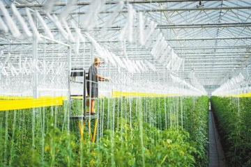 萬(wàn)鋼：新一代人工智能發(fā)展呈現(xiàn)三個(gè)新態(tài)勢(shì)