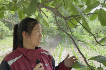 【原創(chuàng)】快遞物流進(jìn)村，怎樣做到沉下去，待得住