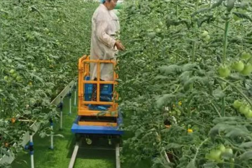 ?央視點(diǎn)贊！無(wú)人機(jī)、機(jī)器人“種地”，給力！