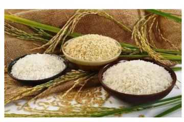 政府稱糧食蔬菜供應充足