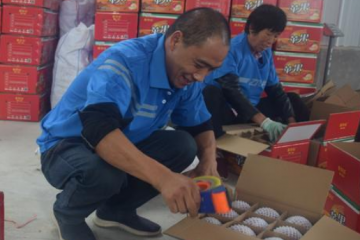 “快遞進(jìn)村”顯成效農(nóng)村快遞量增速超過(guò)城市