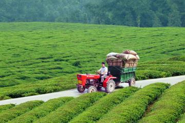 碳中和下的6大萬億市場！