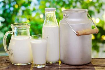 《廣東省碳普惠交易管理辦法》正式印發(fā)