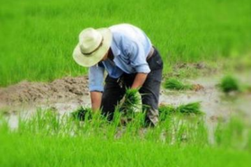 江門冷鏈產業(yè)園扶農助農，助力鄉(xiāng)村振興