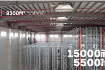 以科技賦能，中鼎集成為安波福量身 打造亞太區(qū)總部智能倉(cāng)庫(kù)