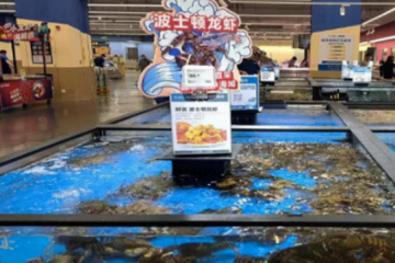 盒馬的收縮可能才剛剛開始