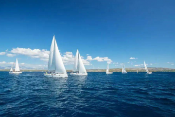 揚帆出海，為什么中國服務機器人最有機會？