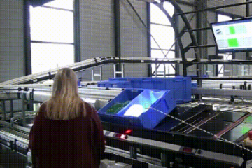 2022年全球工業(yè)機(jī)器人發(fā)展分析