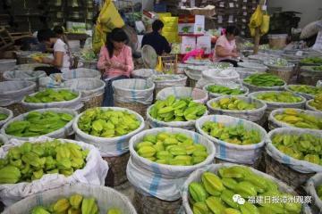 發(fā)揮物流效能 冷鏈助力發(fā)展 打破“要想富先修路”的傳統(tǒng)鄉(xiāng)村發(fā)展模式