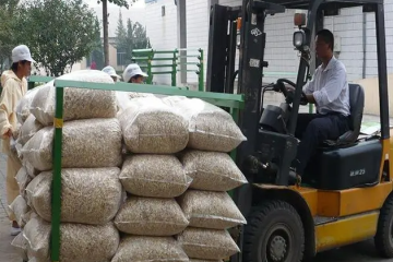 冷庫貨架如何適應冷庫倉儲需求？