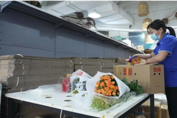 行業(yè)龍頭出海競逐國際市場 快遞業(yè)打響國際航空貨運網(wǎng)絡(luò)“空戰(zhàn)”