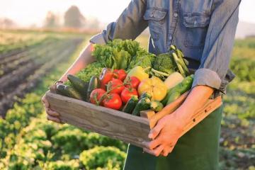 2023年，生鮮電商怎么開局？