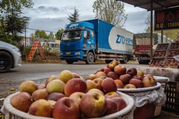 日單量逼近9000萬！中通發(fā)布2022成績單，2023年目標也來了