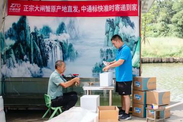 與順豐正面對決？中通標(biāo)快全力“搶食”大閘蟹