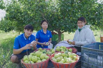 新疆中通網(wǎng)點(diǎn)的“生意經(jīng)”：駐點(diǎn)攬收，日發(fā)香梨2萬單