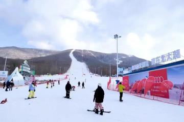 【給力】順豐官宣，再開四家！