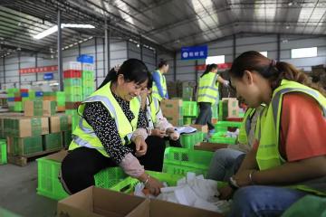 【原創(chuàng)】共配，能否讓鄉(xiāng)村物流走出困境？