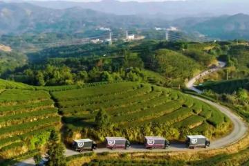 順豐深入原產(chǎn)地助力春茶香飄全國！