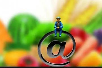 九部門加快推動(dòng)農(nóng)村電商高質(zhì)量發(fā)展 集約推進(jìn)“千集萬(wàn)店”改造提升工程