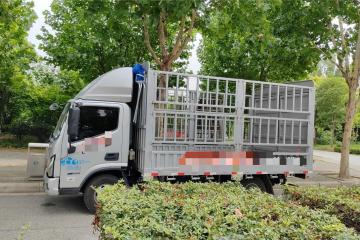 不限行、真能?。W馬可智藍(lán)、混動(dòng)輕卡完美解決城配小伙運(yùn)輸痛點(diǎn)