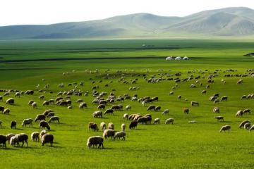 草原如何做快遞，順豐有想法