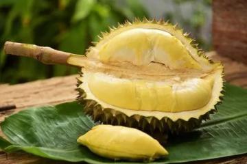 拼服務(wù) | 榴蓮發(fā)申通 時(shí)效快了6小時(shí)