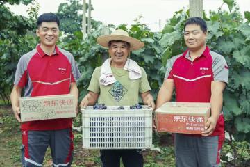 10年增長10倍！構建農(nóng)村快遞服務新模式