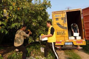 打通“兩個(gè)一公里”，這里的客貨郵融合發(fā)展有成效