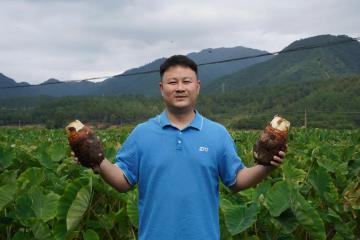 旺季網(wǎng)點(diǎn)說(shuō)｜服務(wù)升級(jí)，只為更好相“芋”