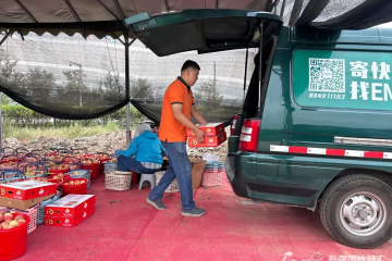 數(shù)據(jù)大揭秘！新疆各地的“快遞量之最”，都是啥？