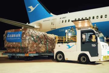 暫停訂艙！大面積停航！80個中國出發(fā)航次被取消！